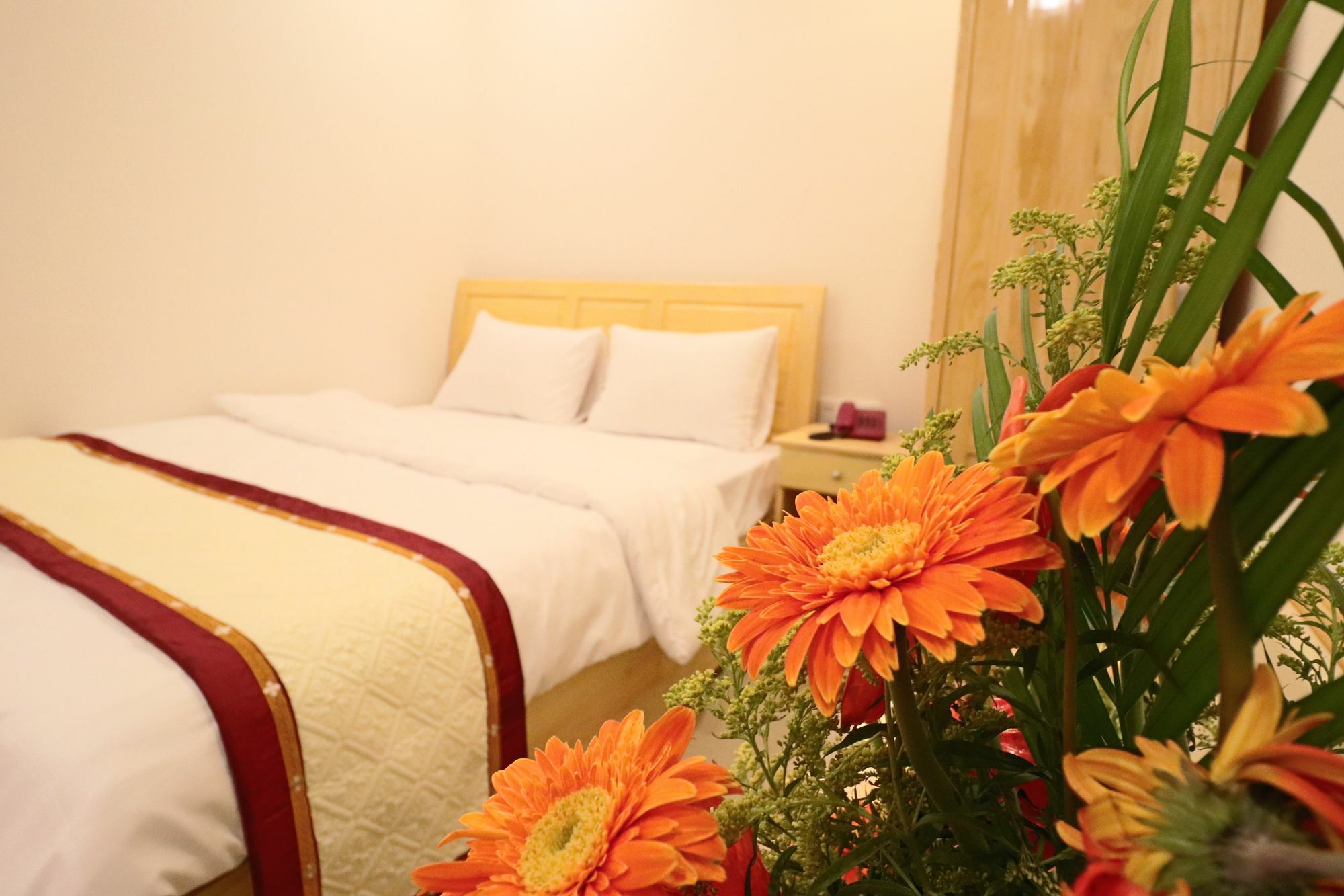 Mai Hoang Da Lat Hotel Extérieur photo